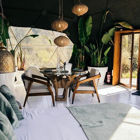 Domo Suites Masia Cal Geperut 巴达洛纳 外观 照片
